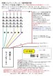 画像4: 流星ウィンカーミニ6ブロック左右セット (4)